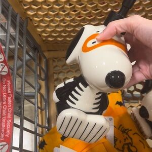 Peanuts Halloween bathroom bundle